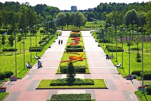 Озеленение городских участков